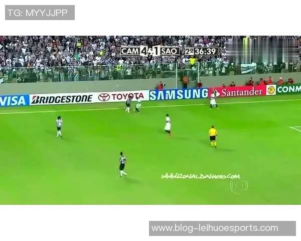 足球撒盐的奇妙世界探秘与技艺分享